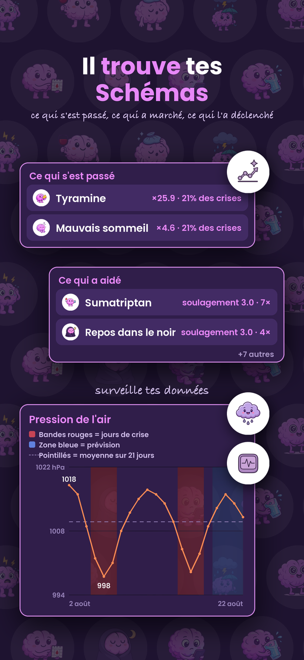 L'appli trouve tes schémas : ce qui s'est passé, ce qui a marché, ce qui a changé