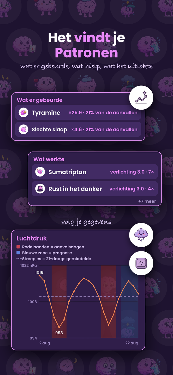 Het herkent je patronen: wat er gebeurde, wat hielp, wat er veranderde